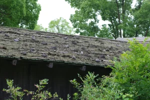 metal roofing vs shingles