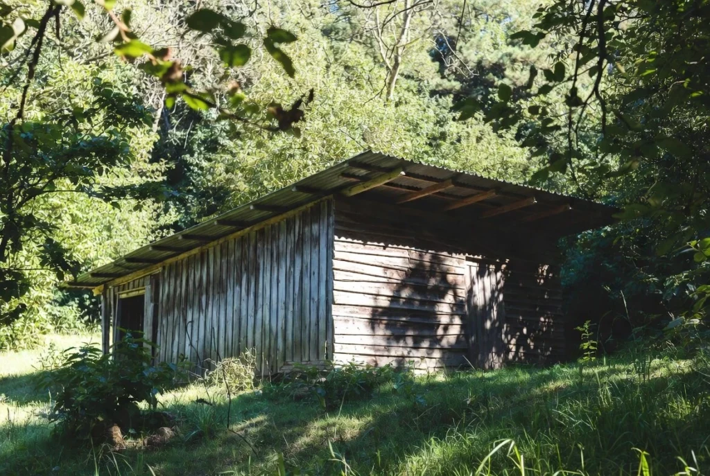 Shed Roofing at Jungle Side