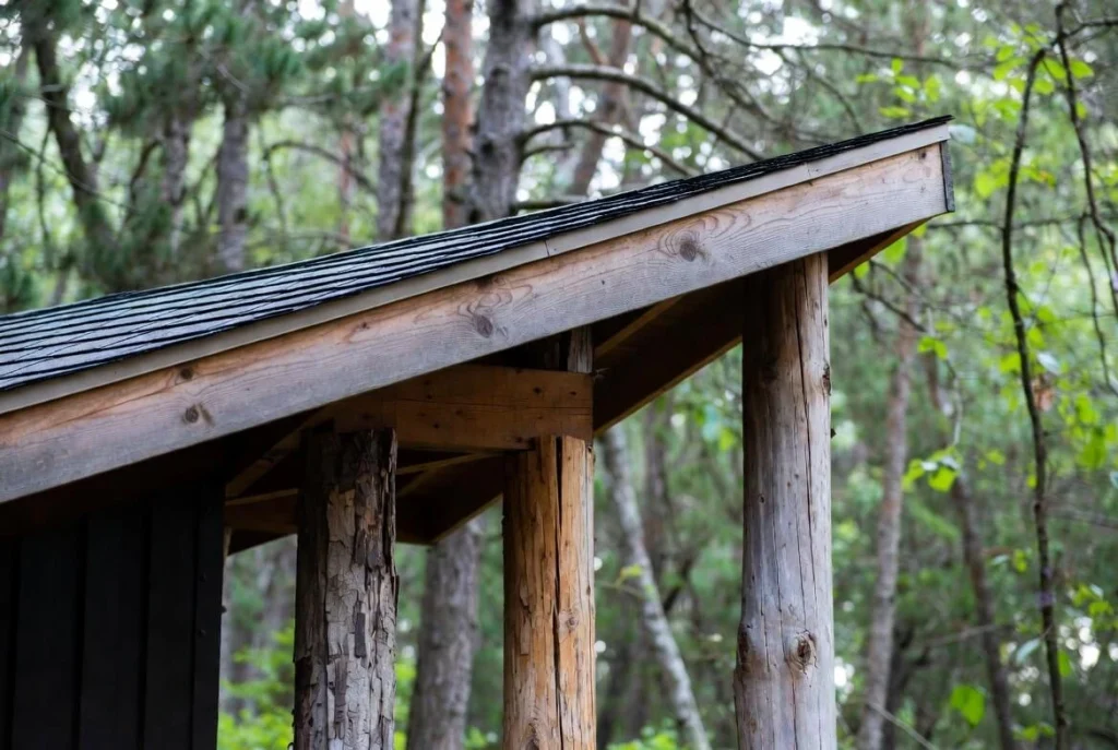 Shed Roofing in Jungle