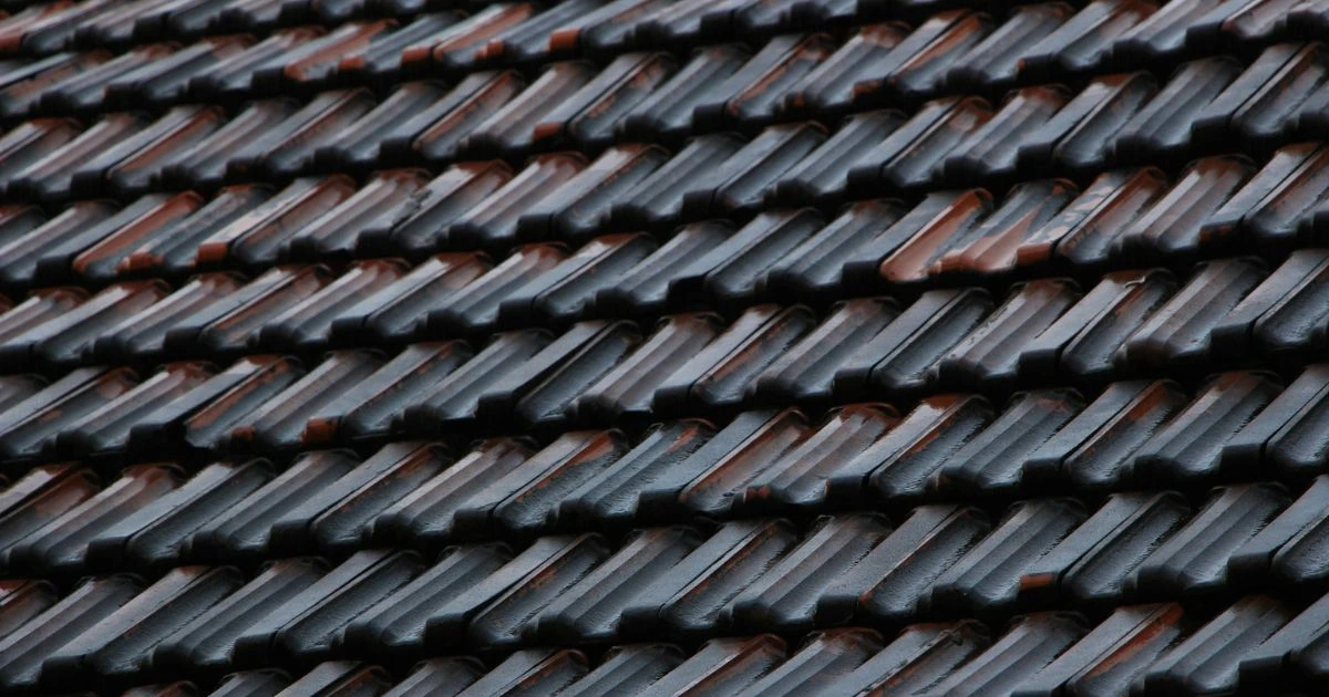Types of Tin Roofs
